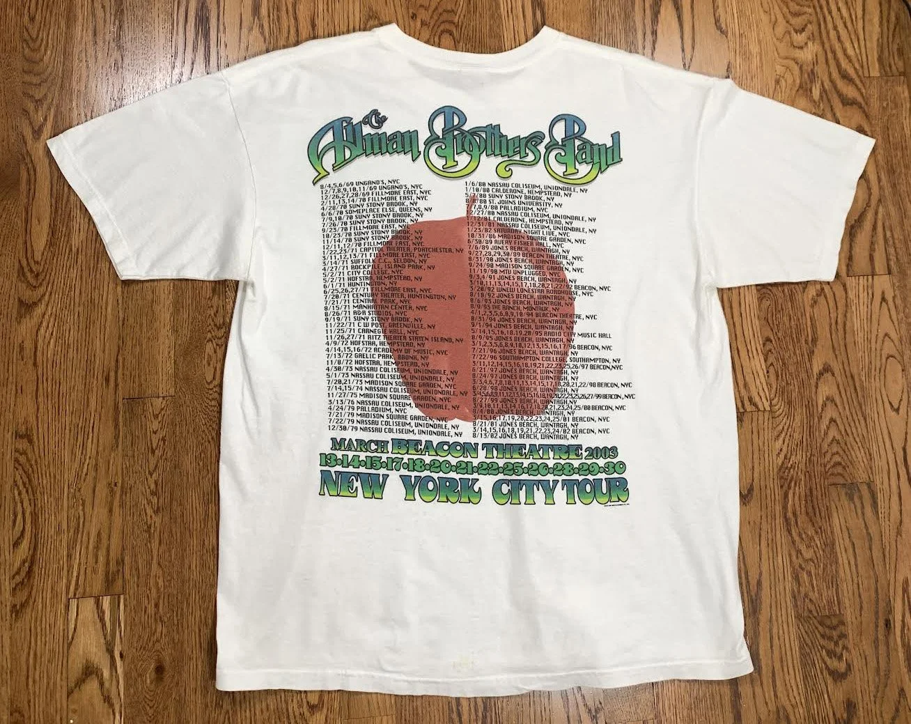Vintage The Allman Brothers Band Beacon Theater NYC Tour T Shirt